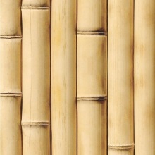 Бамбук натуральный 